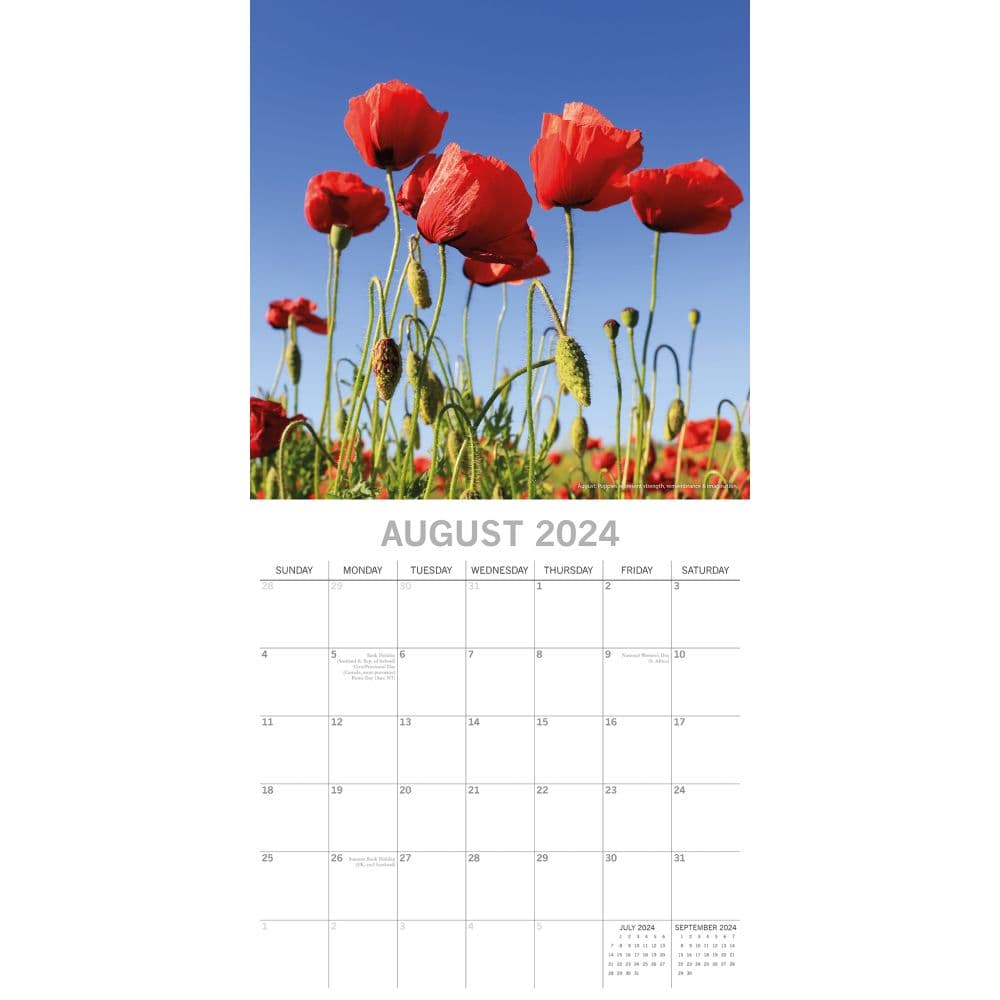 Flower of the Month 2024 Wall Calendar