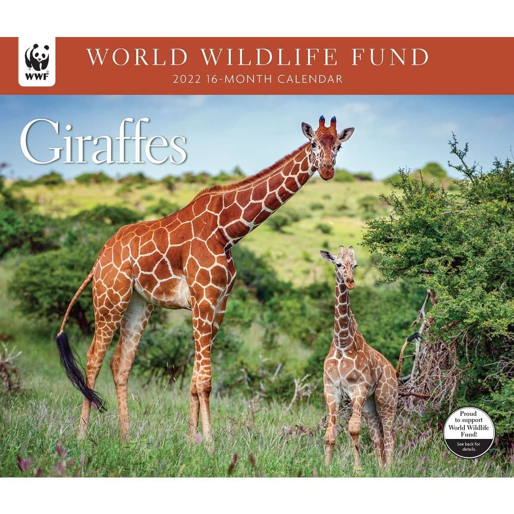 Giraffes WWF 2022 Wall Calendar