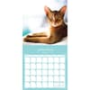 image Cats Fanciful Felines 2024 Wall Calendar Second Alternate Image width=&quot;1000&quot; height=&quot;1000&quot;