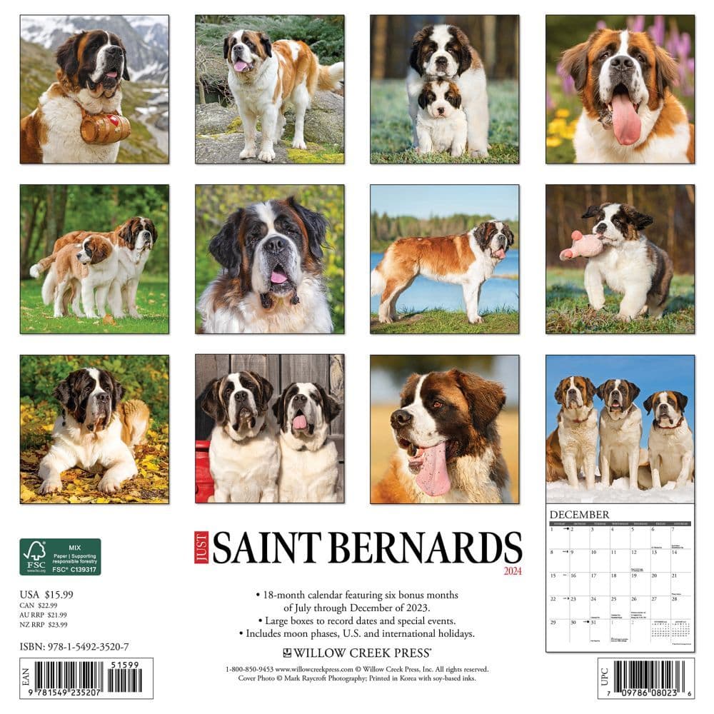 Saint Bernards 2024 Wall Calendar