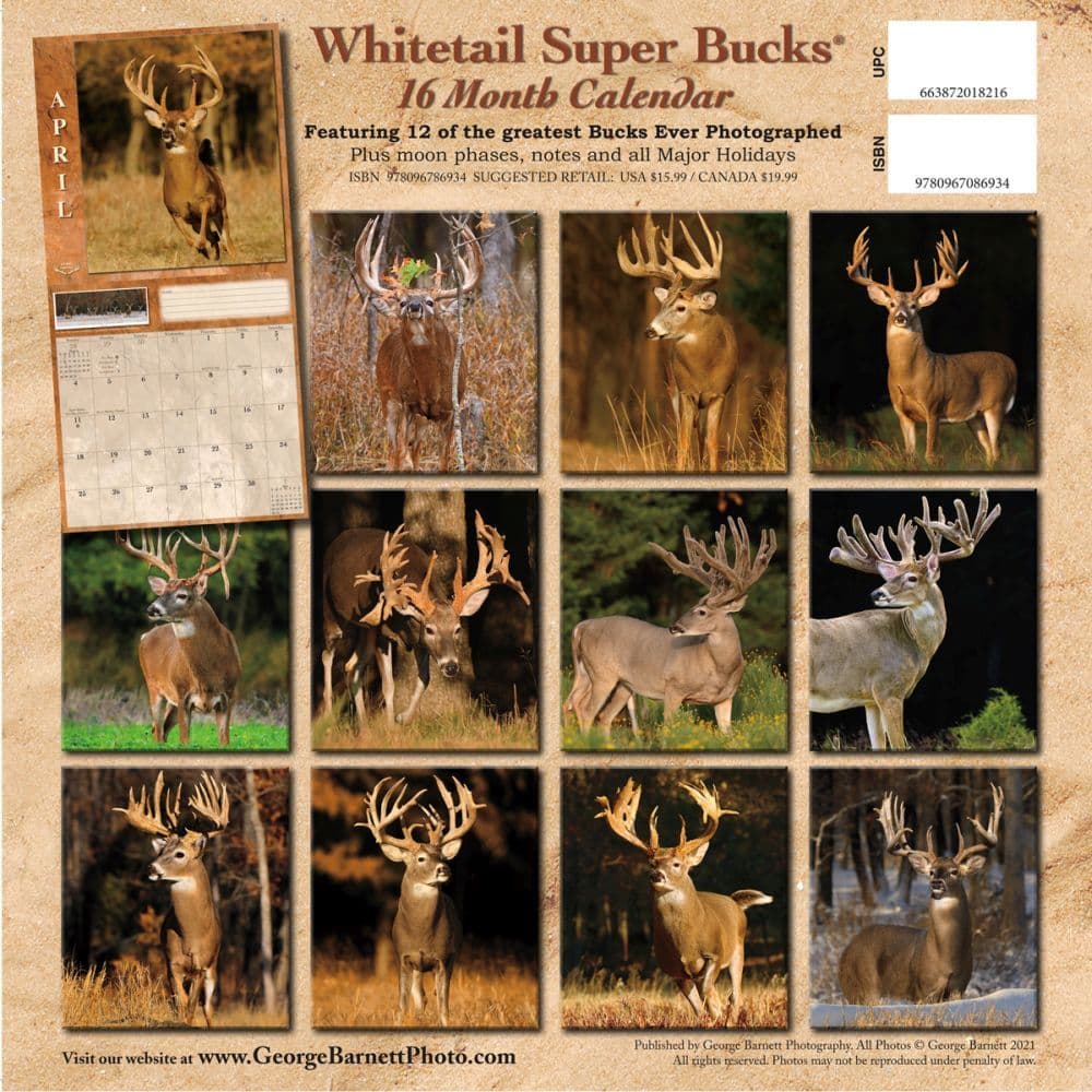Deer Whitetail Super Bucks Wall Calendar