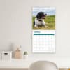 image English Springer Spaniels 2025 Wall Calendar Third Alternate Image width="1000" height="1000"