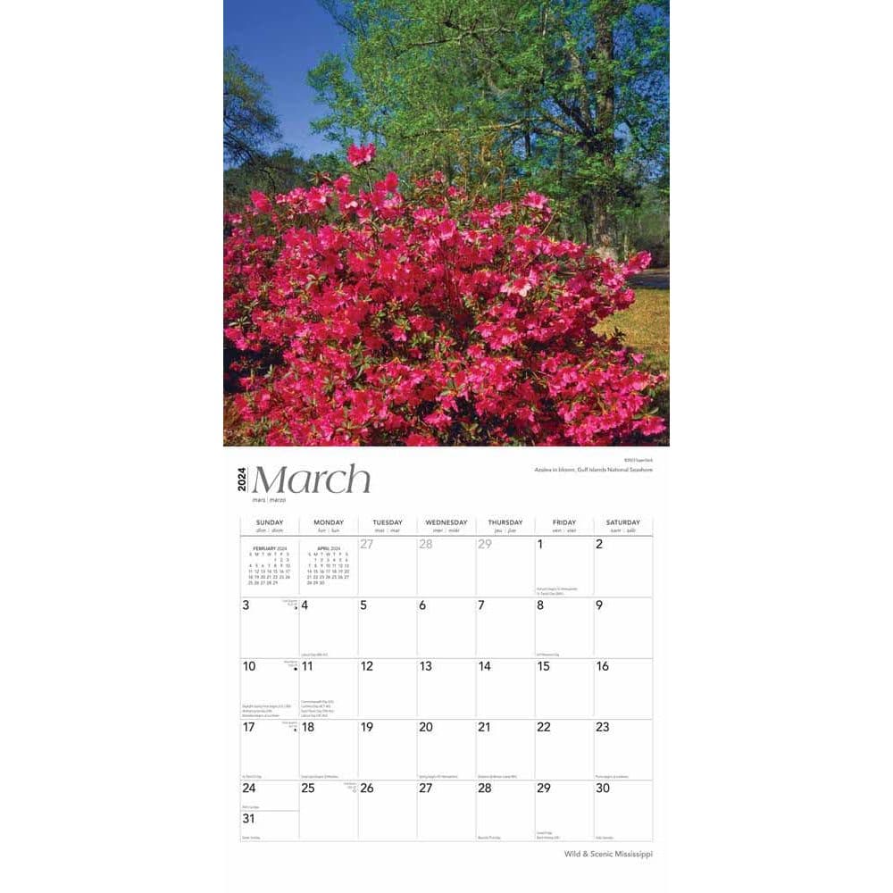 Mississippi Wild and Scenic 2024 Wall Calendar