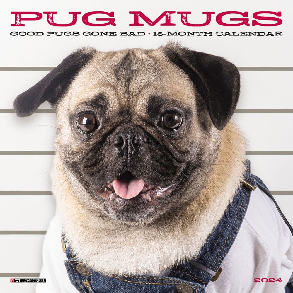 Pug Mugs 2024 Mini Wall Calendar Calendars Com   Fc5dfbf8 92a3 497f 911d 6f2b28ab968c