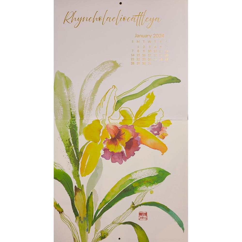 Exotic Orchids 2024 Wall Calendar Fourth Alternate Image width=&quot;1000&quot; height=&quot;1000&quot;