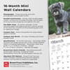 image Schnauzer Puppies 2025 Mini Wall Calendar Fifth Alternate Image width=&quot;1000&quot; height=&quot;1000&quot;