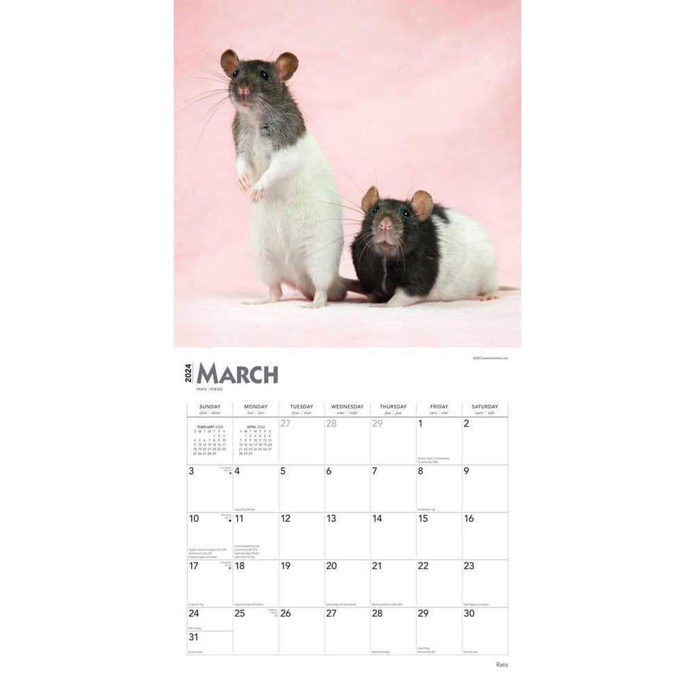 Rats 2025 Wall Calendar