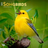 image Songbirds Square 2025 Wall Calendar