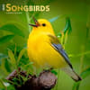 image Songbirds Square 2025 Wall Calendar Main Image