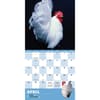 image Extraordinary-Chickens-2024-Wall-Calendar-Alt2