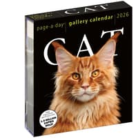 image Cat Gallery 2026 Desk Calendar Main Product Image