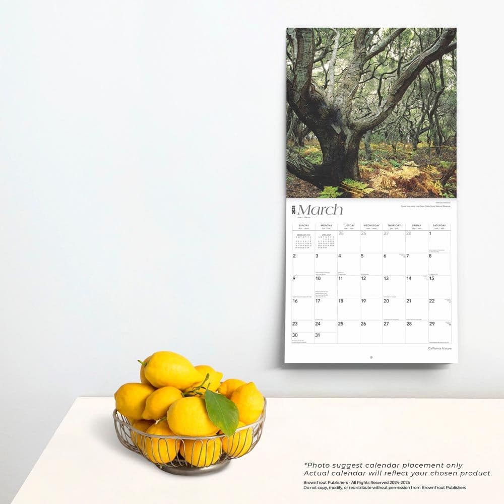 California Nature 2025 Wall Calendar Fourth Alternate Image