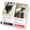 image Bad Cat 2026 Desk Calendar Second Alternate Image