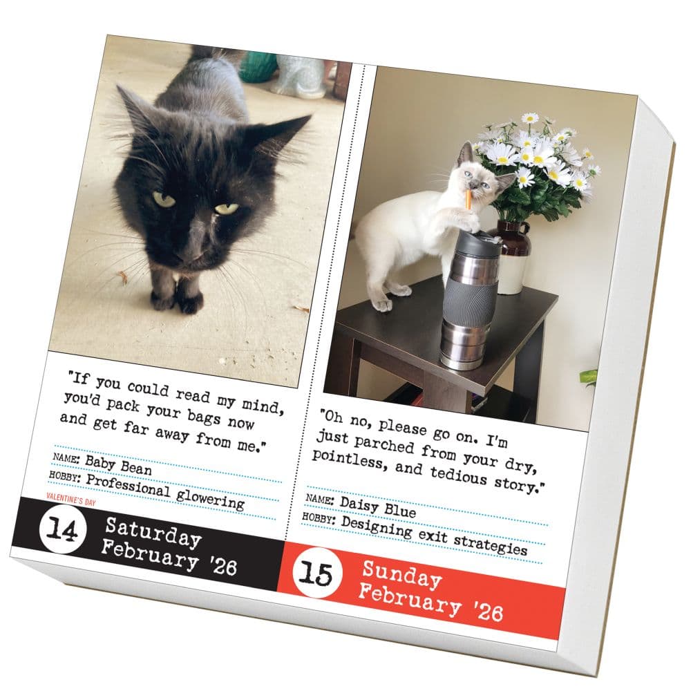 Bad Cat 2026 Desk Calendar Second Alternate Image