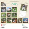 image Jack Russell Terrier Puppies 2025 Wall Calendar First Alternate Image