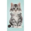 image Kittens 2027 2 Year Pocket Planner Main Product Image