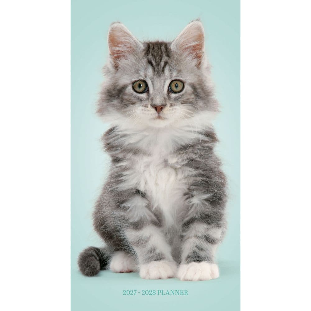 image Kittens 2027 2 Year Pocket Planner Main Product Image