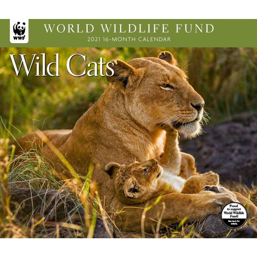 Big Cats 2021 Calendar