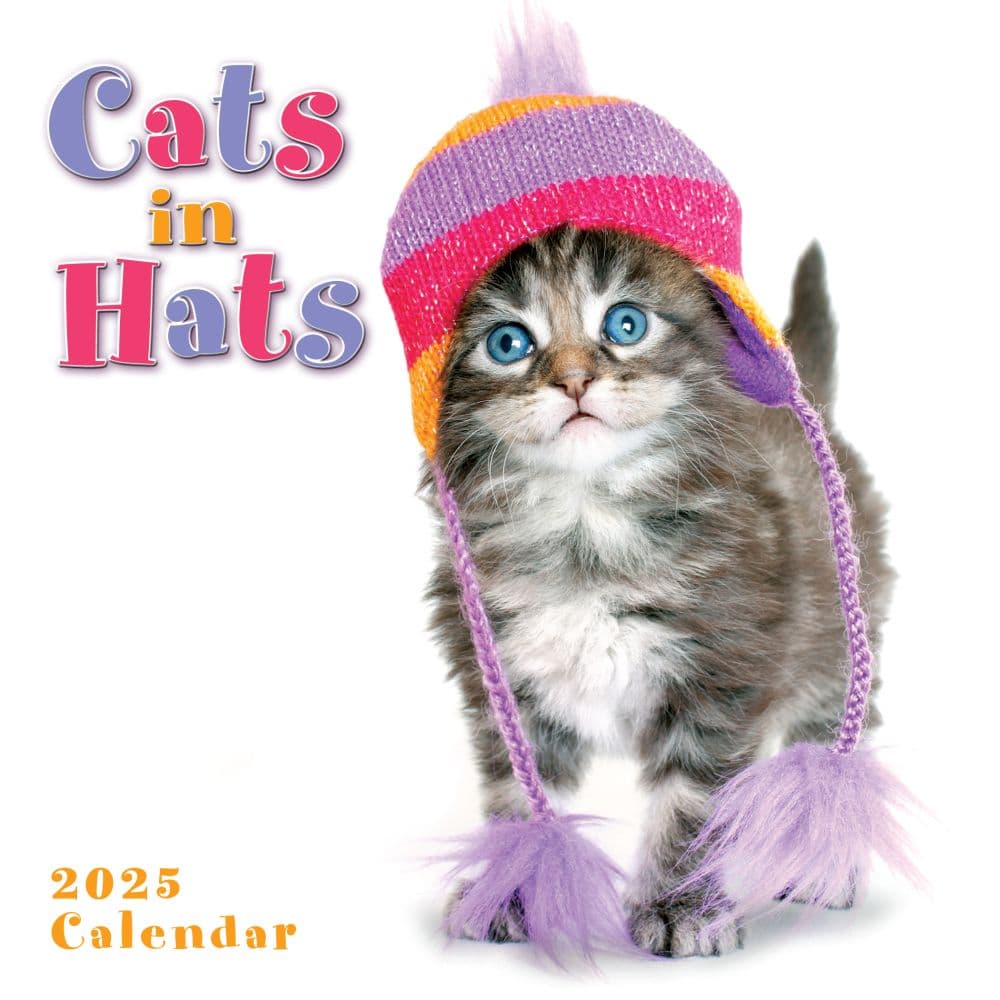 Cats in Hats 2025 Mini Wall Calendar Main Product Image width=&quot;1000&quot; height=&quot;1000&quot;