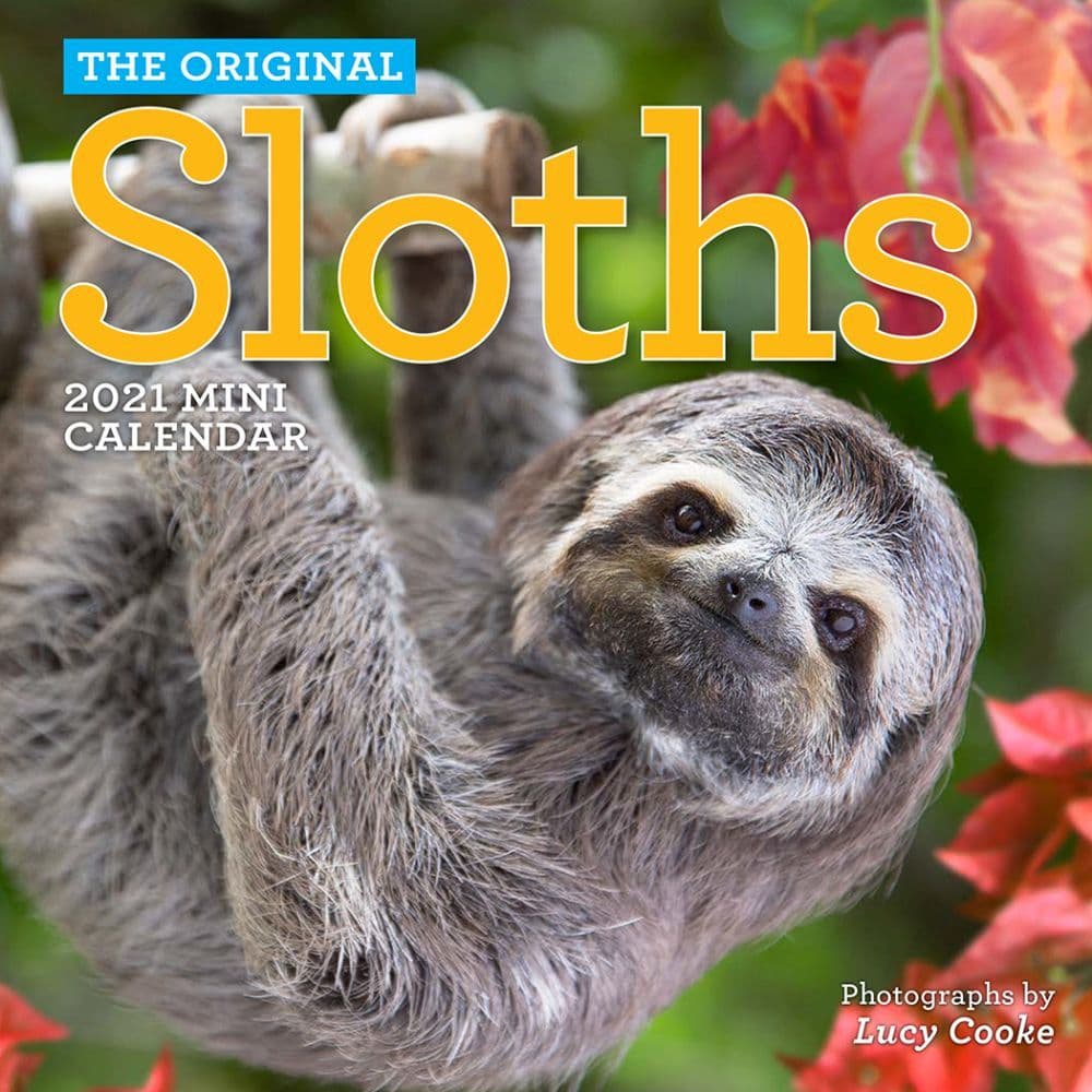 Sloths Mini Wall Calendar