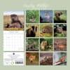 image Country Wildlife 2024 Wall Calendar First Alternate Image width=&quot;1000&quot; height=&quot;1000&quot;