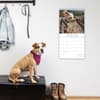 image Dogs in the Wind 2025 Wall Calendar Second Alternate Image width=&quot;1000&quot; height=&quot;1000&quot;