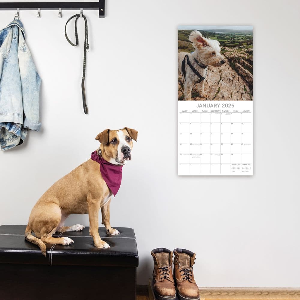 Dogs in the Wind 2025 Wall Calendar Second Alternate Image width=&quot;1000&quot; height=&quot;1000&quot;