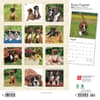 image Boxer Puppies Wall 2024 Desk Calendar First Alternate Image width=&quot;1000&quot; height=&quot;1000&quot;