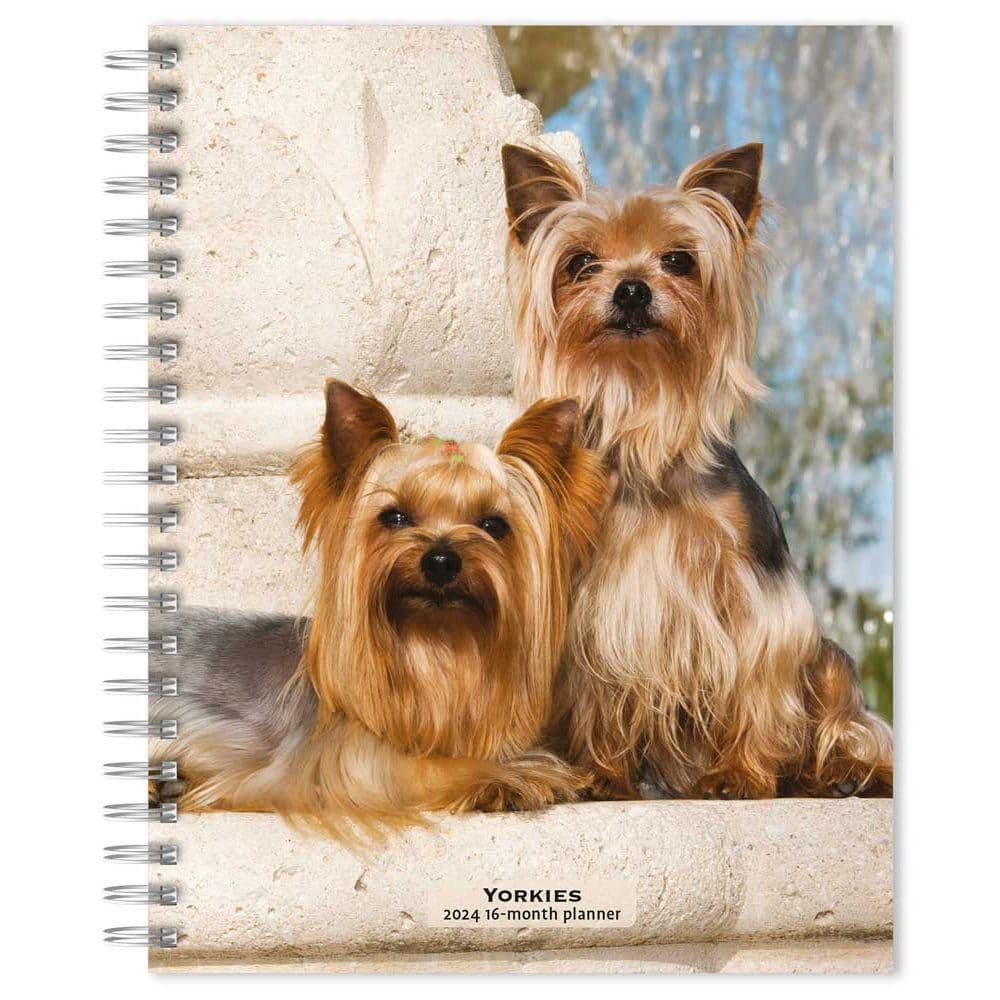 Yorkshire Terriers 2024 Planner Main Product Image width=&quot;1000&quot; height=&quot;1000&quot;