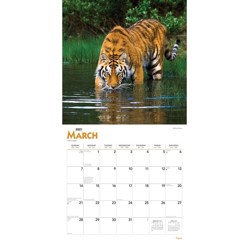 Tigers Wall Calendar