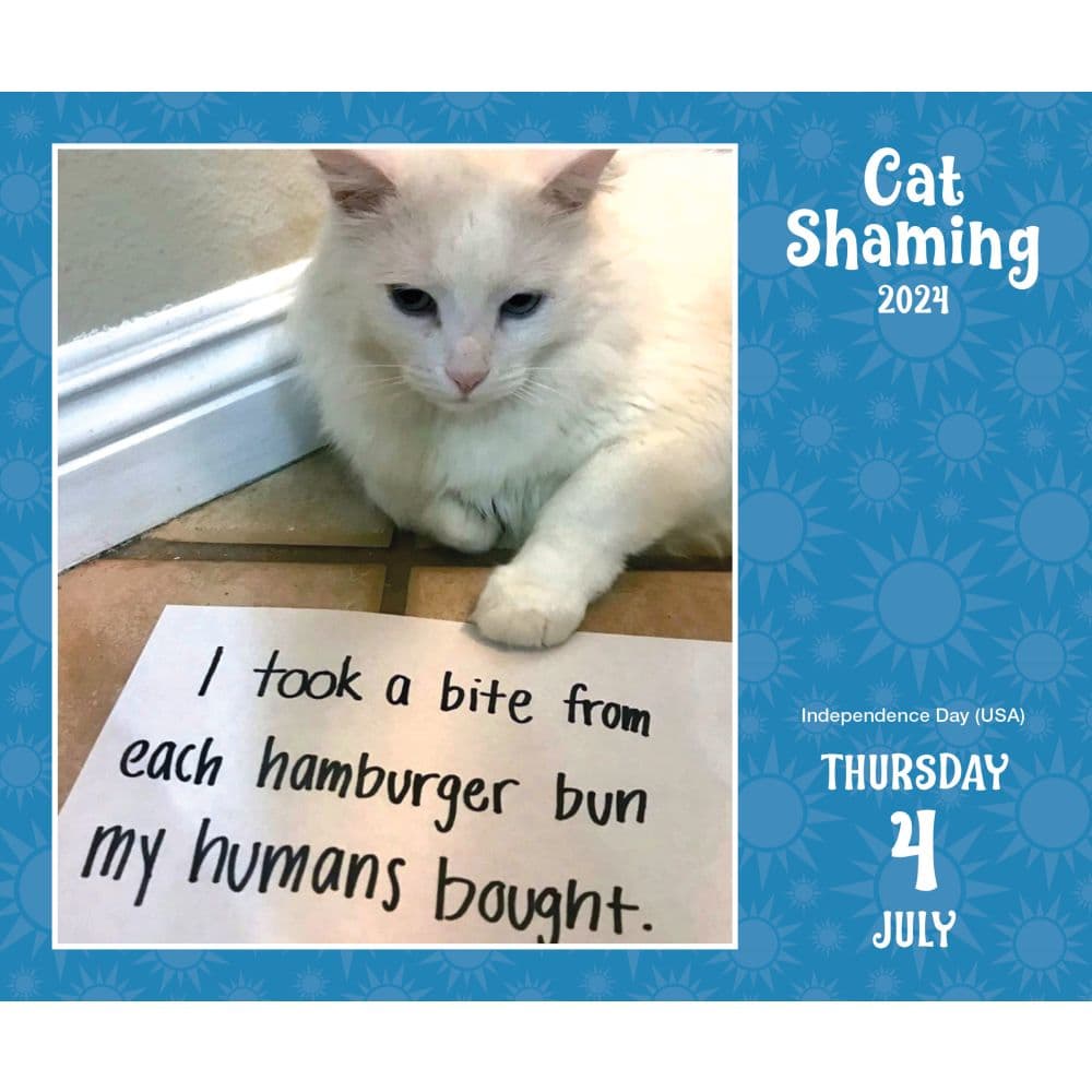 Cat Shaming 2024 Desk Calendar