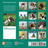 image English Springer Spaniels 2024 Wall Calendar First Alternate Image width=&quot;1000&quot; height=&quot;1000&quot;