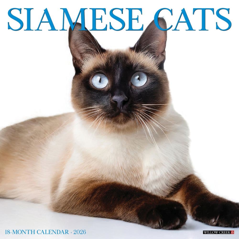 Siamese Cats 2026 Wall Calendar   Main Image