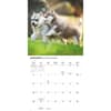 image Siberian Husky Puppies 2026 Wall Calendar Second Alternate Image