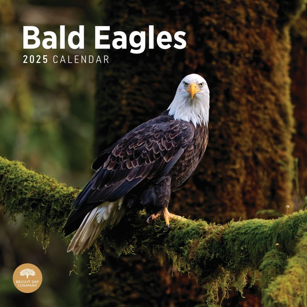 Bald Eagles 2025 Wall Calendar