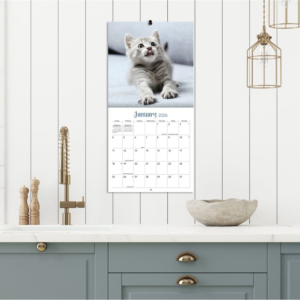 Curious Kittens Photo 2026 Mini Wall Calendar_ALT5