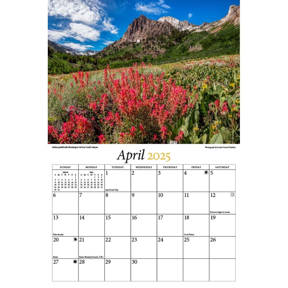 Sierra Nevadas 2025 Wall Calendar