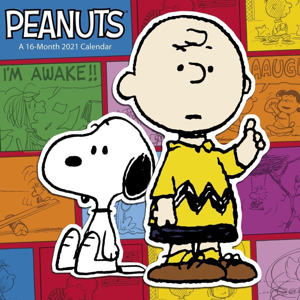 2020 WALL 10X10" PEANUTS Calendar Charlie Brown 12-Month NEW & SEALED 