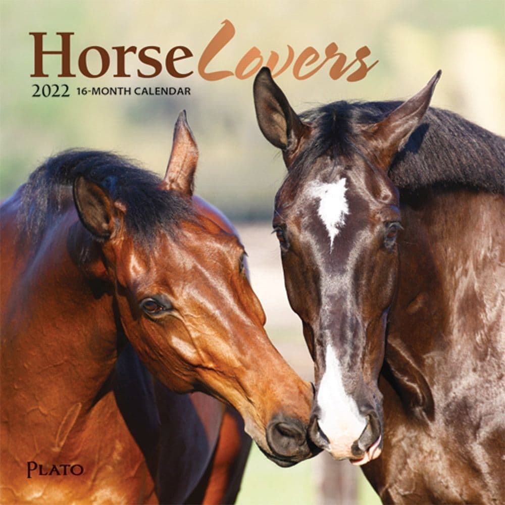 Horse Lovers 2022 Mini Wall Calendar - Calendars.com