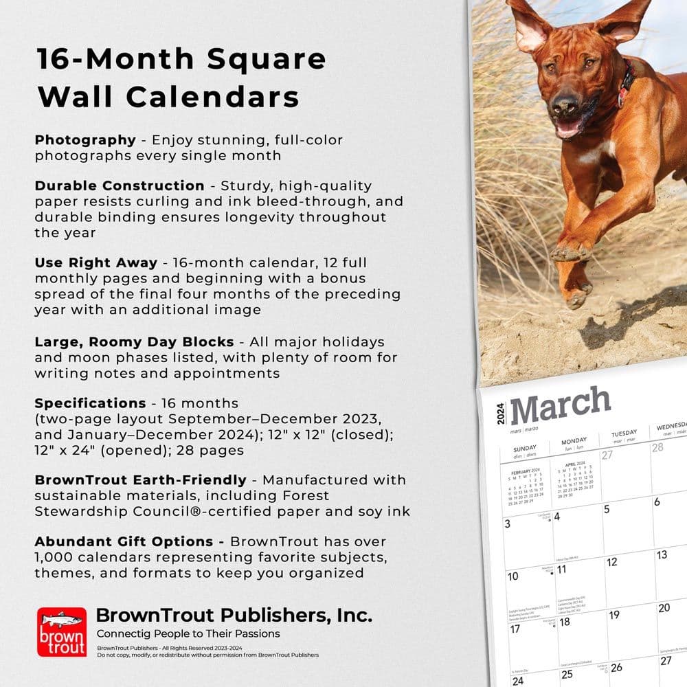 Rhodesian Ridgebacks 2024 Wall Calendar