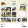 image Clydesdales 2025 Wall Calendar