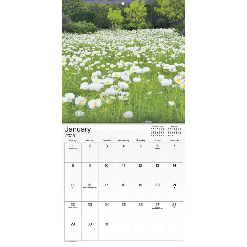 Texas Wildflowers 2023 Wall Calendar - Calendars.com