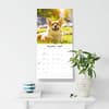 image Welsh Corgis 2027 Wall Calendar Fifth Alternate Image