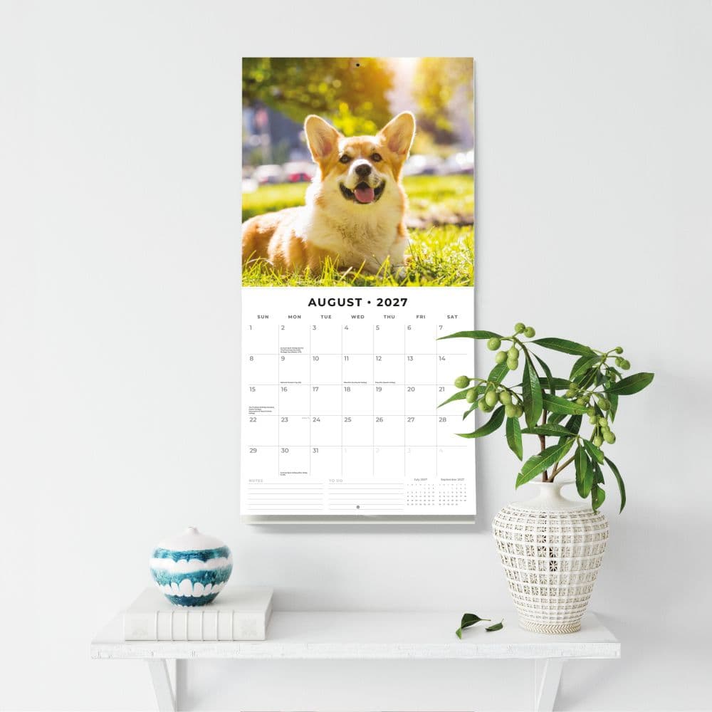 Welsh Corgis 2027 Wall Calendar Fifth Alternate Image