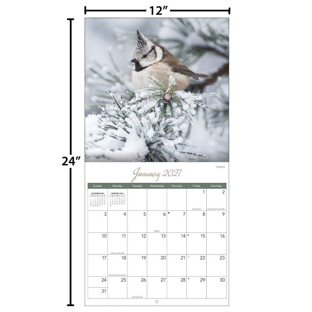 Songbirds 2027 Wall Calendar Fourth Alternate Image