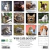 image Why Cats Do That 2025 Wall Calendar First Alternate Image width=&quot;1000&quot; height=&quot;1000&quot;