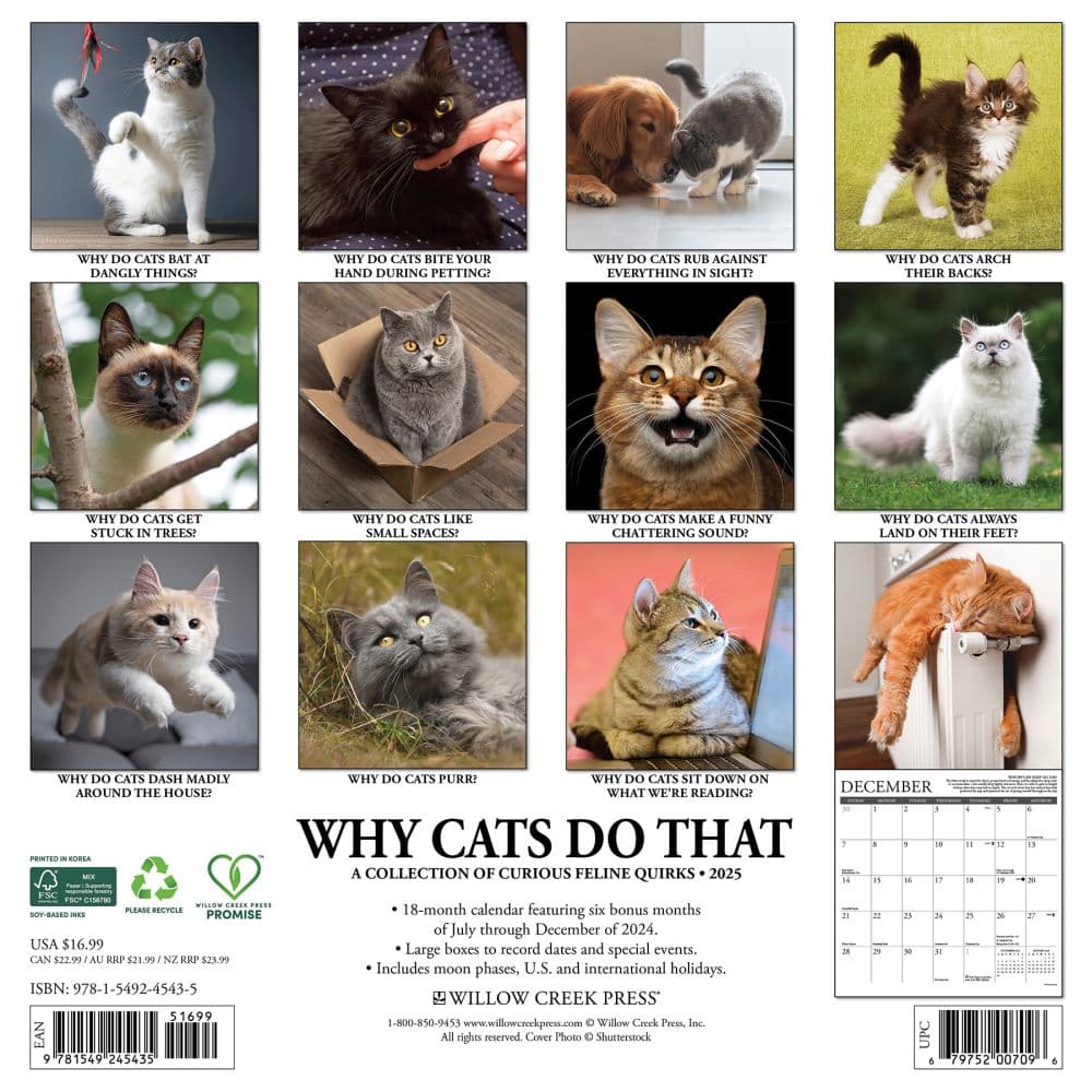 Why Cats Do That 2025 Wall Calendar First Alternate Image width=&quot;1000&quot; height=&quot;1000&quot;