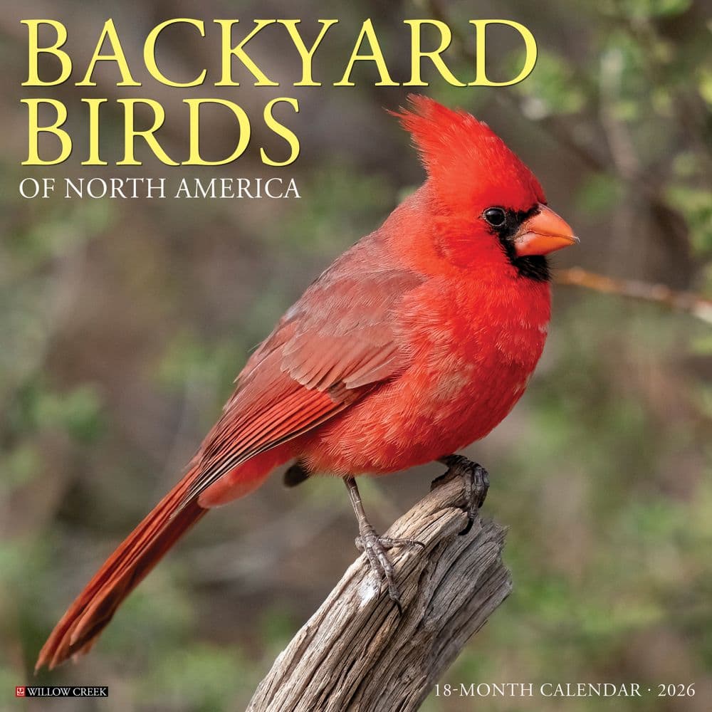 Birds Backyard 2026 Wall Calendar Main Image