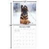 image Playful Puppies 2026 Wall Calendar_ALT5