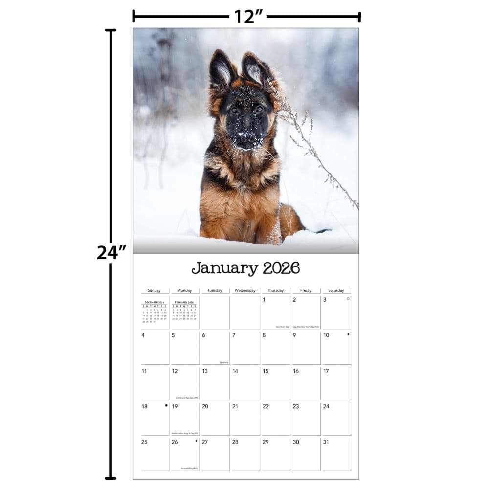 Playful Puppies 2026 Wall Calendar_ALT5